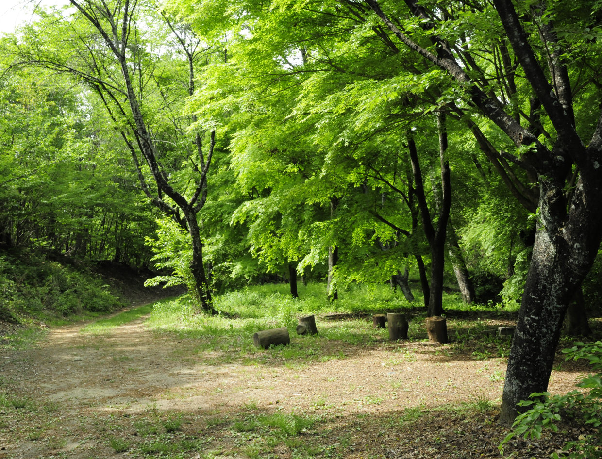 鬼岩公園　松野湖までの小道